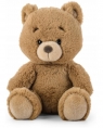  Miś miodowy 22cm