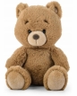Miś miodowy 22cm