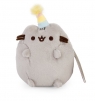 Kot Pusheen Party mały 14 cm