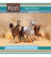 Magnes. Koń-definicja