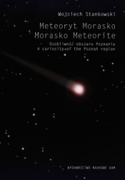 Meteoryt Morasko