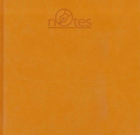 Notes TRIO-2 (NT-8) pomarańczowy