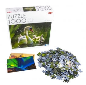 Puzzle 1000: Łabędź na jeziorze z dziećmi