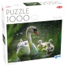 Puzzle 1000: Łabędź na jeziorze z dziećmi