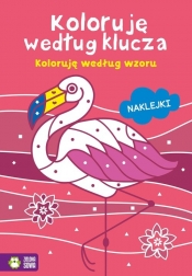 Koloruję według klucza. Koloruję według wzoru - Opracowanie zbiorowe