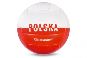 Piłka siatkowa Artyk Polska (133183)