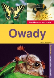 Owady