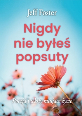 Nigdy nie byłeś popsuty - Foster Jeff