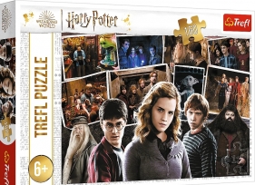 Puzzle 160 Harry Potter i przyjaciele TREFL