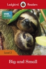 BBC Earth: Big and Small Ladybird Readers Level 2