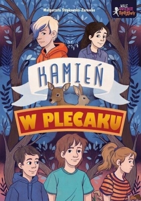 Małe wielkie sprawy. Kamień w plecaku - Małgorzata Strękowska-Zaremba