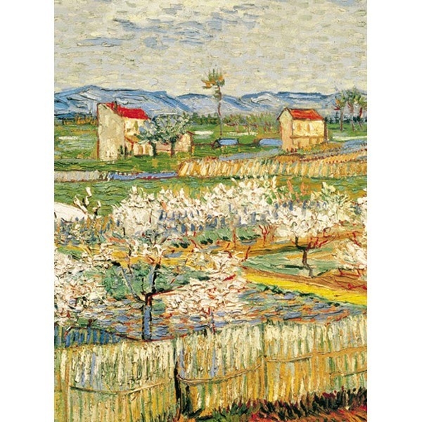 ARTE 1500 EL. Van Gogh-K wiatowe Pole