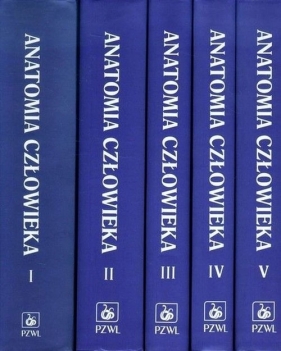 Anatomia człowieka 1-5