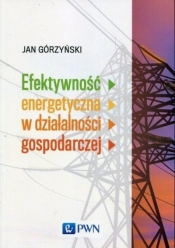 Efektywność energetyczna w działalności gospodarczej - Górzyński Jan
