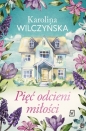 Pięć odcieni miłości. Wielkie Litery - Karolina Wilczyńska