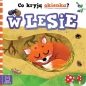 Co kryją okienka? W lesie - Anna Podgórska