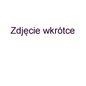 Zestaw 3 miękkich autek mix