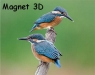 Magnes 3D Zimorodki