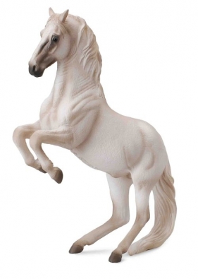Ogier rasy lipizzaner