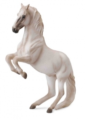 Ogier rasy lipizzaner