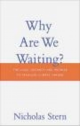 Why are We Waiting? Nicholas Stern