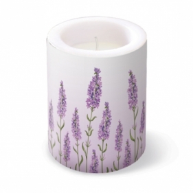 Lampion Lavender Field ADL060601 - ADL060601