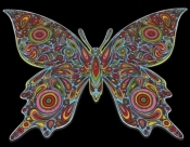 Kolorowanka Welwetowa 47x35 Motyl
