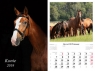 Kalendarz 2019 wieloplanszowy Konie