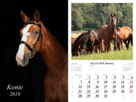 Kalendarz 2019 wieloplanszowy Konie - Jurkowlaniec Marek