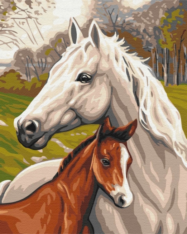 Obraz Paint it! Malowanie po numerach. Rodzina koni (BS33101)