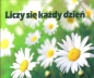Liczy się każdy dzień. Perełka nr 164