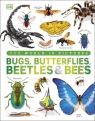  Our World in Pictures Bugs, Butterflies, Beetles and Bees