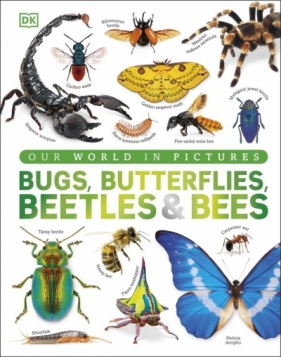 Our World in Pictures Bugs, Butterflies, Beetles and Bees - Opracowanie zbiorowe