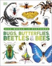 Our World in Pictures Bugs, Butterflies, Beetles and Bees - Opracowanie zbiorowe