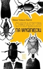 Chrząszcze na wyginięciu - Diego Vargas Geate