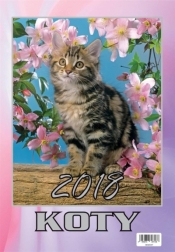 Kalendarz 2018 Wieloplanszowy Koty BESKIDY