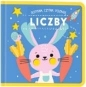 Dotykam czytam poznaję. Liczby - Opracowanie zbiorowe
