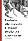  Pandemia albo końcówka Kulturowe świadectwa czasów zarazy