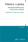 Umowy o pracę. Nowelizacja Kodeksu pracy. Wzory umów i klauzul. Komentarz | Linia orzecznicza