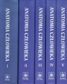 Anatomia człowieka Tom 1-5 Pakiet Adam Bochenek, Michał Reicher