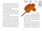 Vilde i zwycięski hobby horse. Tom 1 - Jenny Bicho