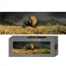 HEYE 1000 EL. Lion (29518)