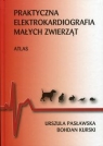 Praktyczna elektrokardiografia małych zwierząt Pasławska Urszula, Kurski Bohdan