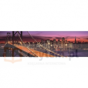 RAVEN. 2000 EL. Most Bay w S.Francisco (166190)