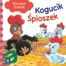 Kogucik śpioszek Wiesław Drabik