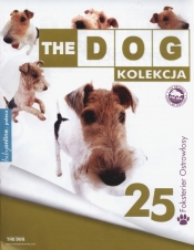 The Dog Foxterier ostrowłosy