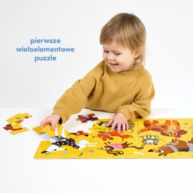 Puzzle Hau Pieski