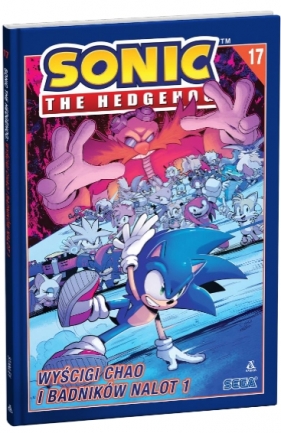 Sonic the Hedgehog 17. Wyścigi Chao i Badników nalot 1 - Evan Stanley