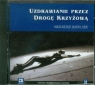 Uzdrawianie przez Drogę Krzyżową
	 (Audiobook) Wons Krzysztof