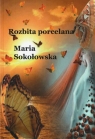 Rozbita porcelana Maria Sokołowska